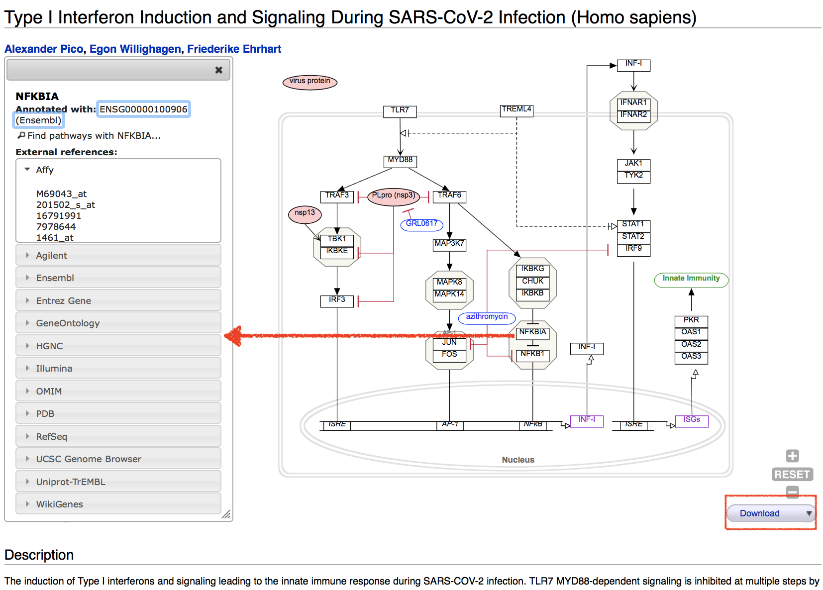 wiki pathway